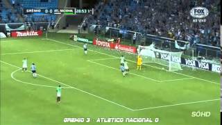 Todos Los Goles de la Copa Libertadores de America 2014 Parte 1 [upl. by Hpeseoj]