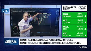 Trading amp Investing ADP Jobs Data 3 Stocks Trading Levels On Stocks Bitcoin Gold Silver Oil [upl. by Takeo]