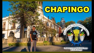 ¿Por qué estudié en Chapingo [upl. by Sterner]