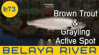 Russian Fishing 4  Belaya River  Brown Trout amp Grayling  73 [upl. by Nnaeinahpets]