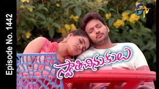 Swathi Chinukulu  17th April 2018  Full Episode No 1442 ETV Telugu [upl. by Dino843]