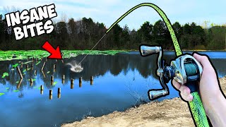 1v1 Trophy Pond Fishing Tournament INSANE [upl. by Cara]