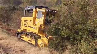 T360 Forestry Mulcher [upl. by Ribaudo]