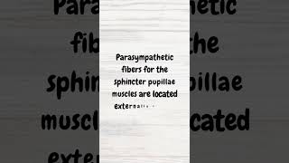 Pupillary changes in a CN3 palsy  MRCP revision  shorts cranialnerves cranialnerve neurology [upl. by Garett925]