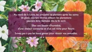 Planter des plantes annuelles [upl. by Alrich]