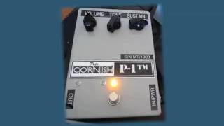 Pete Cornish P1 Demo [upl. by Ursa99]