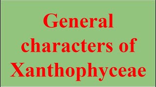 BSc First Year Botany Paper  I General characters of Xanthophyceae [upl. by Akemej]