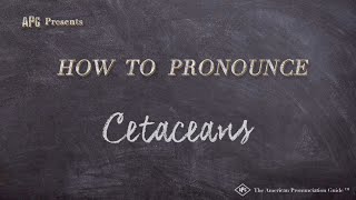 How to Pronounce Cetaceans Real Life Examples [upl. by Noletta]