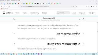 Parsha Ki Tetze read by the Hebrew Torah Reading Team on 14 September 2024 [upl. by Namad]