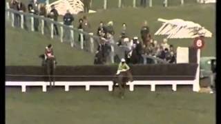 Bregawn The 1983 Cheltenham Gold Cup [upl. by Aziar]