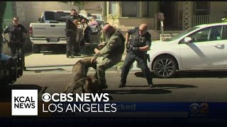 Caught On Video Police K9 Attacked By Pit Bull In Anaheim [upl. by Gillespie]