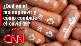 Molnupiravir un antiviral contra el covid19 reduciría riesgo de hospitalización y muerte en un 50 [upl. by Ahsienor]