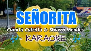 Señorita by Camila Cabello amp Shawn Mendes KARAOKE [upl. by Gora]