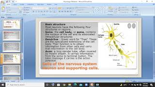 Basic structure of Neuron in urduhindi lec [upl. by Iramohs]