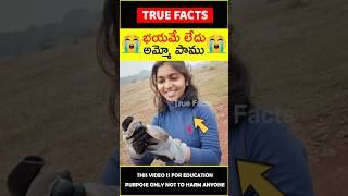 Girl rescued snake inspiration 😲అమ్మో పాము😲 amazingfacts truefacts shorts [upl. by Thora]