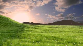 Grass Animation made in Blender 3D 258a HD [upl. by Dianne165]