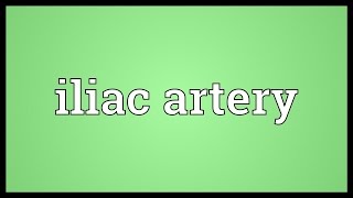 Iliac artery Meaning [upl. by Nohtanhoj]