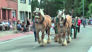 Belgian Draft HorsesKeerbergenKarrenen wagenstoet2013 [upl. by Tirrag]