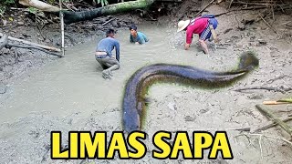 ANG DAMING HULI NA ISDA LIMAS SAPA [upl. by Atteroc]