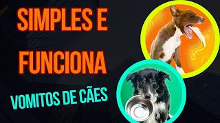 MELHOR REMÉDIO PARA CACHORRO VOMITANDO  COMO ACABAR COM VOMITO DOS CÃES EM CASA TRATAMENTO CASEIRO [upl. by Levy]