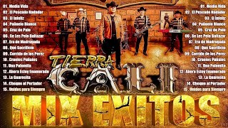 🔥🔥🔥Tierra Caliente Mix 2024 ✨Tierra Cali Mix Éxitos💖 Tierra Cali Los Remis Los Prayers Alfa79999 [upl. by Nivled911]