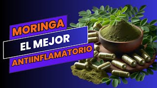 Que pasa cuando un DIABETICO toma MORINGA [upl. by Wartow805]