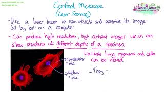 Confocal microscopes  Revision for Biology ALevel [upl. by Nylahsoj]