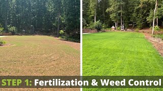 Fertilizer for New Grass Seed  Zenith Zoysia Fertilizer and Weed Control [upl. by Yenitsed]