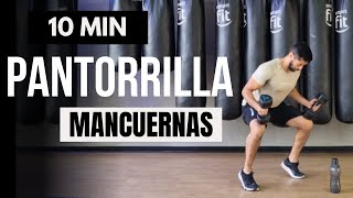 Rutina intensa pantorrillas en casa 🔥 mejores ejercicios pantorrilla con mancuernas  10 minutos [upl. by Ellenad151]