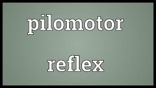 Pilomotor reflex Meaning [upl. by Ynneb]