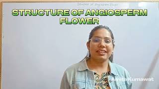 microspore and megaspore of angiospermsbiology neet 2024 neetaspirants amita kumawat [upl. by Neerom]