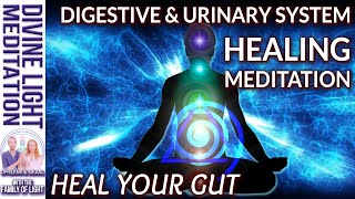 GUT HEALTH MEDITATION DIGESTIVE SYSTEM amp URINARY SYSTEM HEALING  PHYSICAL BODY HEALING  Babaji [upl. by Ilarrold]