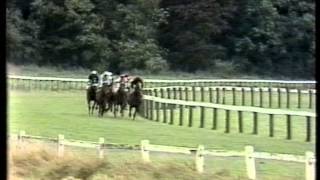 1980 St Leger Stakes [upl. by Towbin462]