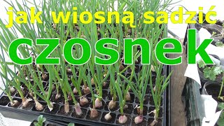 Sprawdzone sposoby na zaparcia co jeść czego unikać ➡ Przyczyny zaparć i dieta na zaparcia [upl. by Durrell]