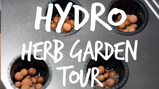 Building a Cheap Hydroponic Herb Garden [upl. by Esyle]