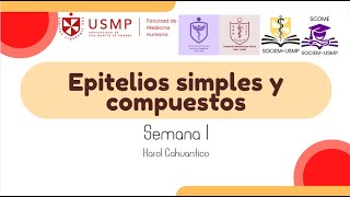 HISTOLOGÍA  SESIÓN 1  EPITELIO SIMPLE Y COMPUESTO  Karol Cahuantico  2024 II [upl. by Augusto128]