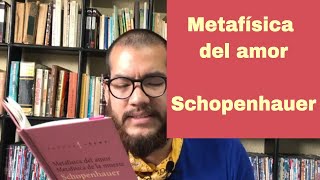 Schopenhauer  Metafísica del Amor [upl. by Sara-Ann449]