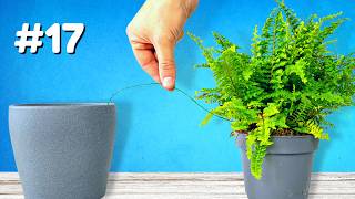 Top 28 Plant Hacks You Need To See [upl. by Iba732]