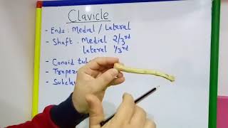 CLAVICLE GENERAL FEATURES AND ATTACHMENTS BY DR MITESH DAVE [upl. by Michigan]