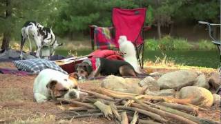 Subaru Commercial  Camping [upl. by Jenny]