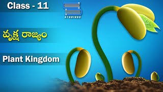 వృక్ష రాజ్యం  Plant Kingdom Characteristics and Classification  Biology Class11  StudiousTelugu [upl. by Nahtanohj]