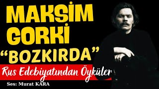 Maksim Gorki quotBozkırdaquot Rus Edebiyatından Sesli Kitaplar [upl. by Eicnarf]