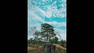 Amay deko Eka bikele  Bangla Lofi song  Relaxing Sound and lyrics new vedio 2024  DeepMood10 [upl. by Amal]