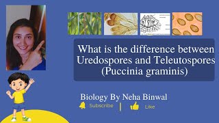 Difference between Uredospores and Teleutospores l Puccinia graminis l UPSC Botany l [upl. by Hgielac301]