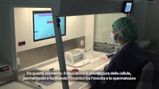 GENERA Centro Medicina della Riproduzione  Percorso della Coppia  PMA ICSI FIVET IUI  COMPLETO HD [upl. by Lundin226]