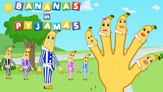 Bananas in Pyjamas Finger Family  Happy Kids Song [upl. by Eudosia231]