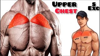 4 BEST CHEST EXERCISES WITH DUMBBELLS ONLY  Unseen Fitness Vision [upl. by Eenoj498]