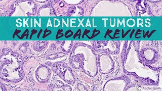 Skin Adnexal Tumors Dermpath Board Review for Dermatology Pathology amp Dermpath [upl. by Arded]