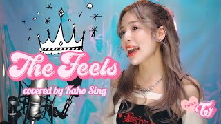 The Feels  TWICE 트와이스 COVER 歌ってみた [upl. by Wilber]