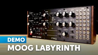 Moog Labyrinth Demo Designed to Inspire Built for Exploration [upl. by Anilef]